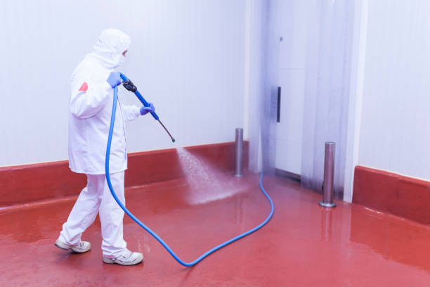 Trusted Runaway Bay, TX Pressure Washing Services Experts